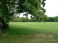 /album/fotogalerie-borsky-park-hriste-pro-deti/borsky-park44-jpg/